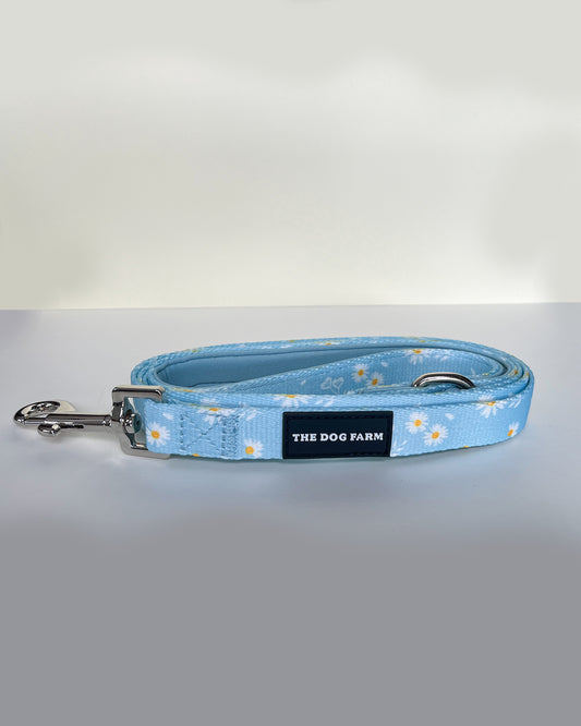 Spring Flowers Belt