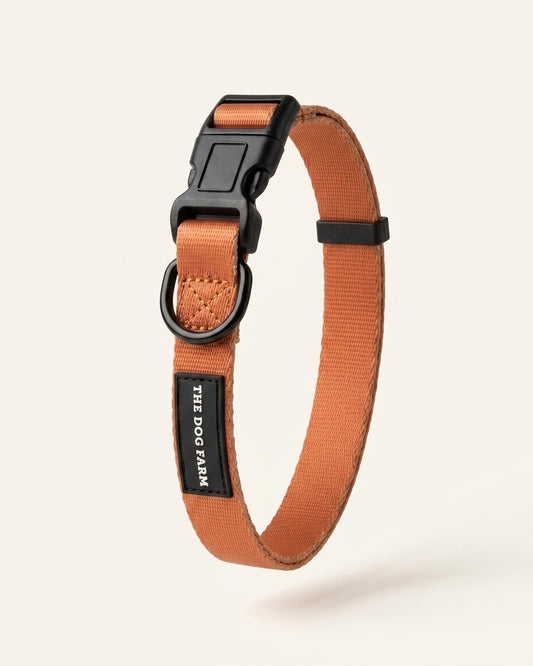Collier marron (cow-boy)