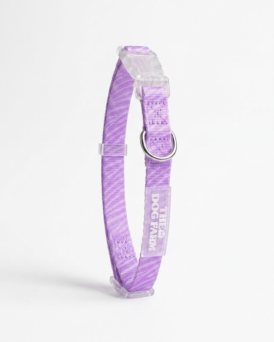 Lila Zebra Halsband