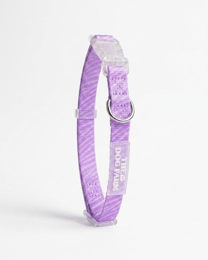 Lila Zebra Halsband