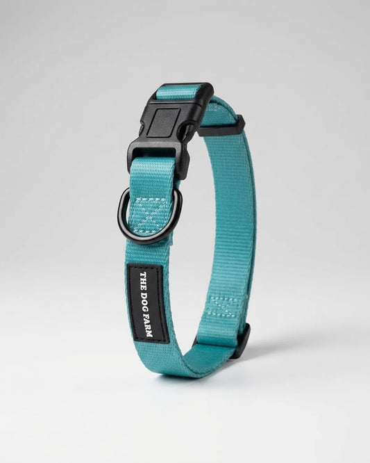 Collier Turquoise (Galaxie)