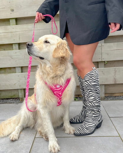 Pink Zebra Harness