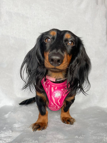 Pink Zebra Harness