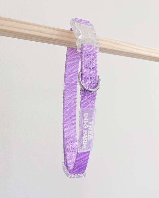 Lila Zebra Halsband